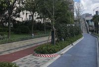 大連路虹口一側大變樣！健身步道、各色行道樹、爬藤廊架都有了