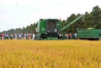 明年此時繁花似錦!“光明田緣”游客接待中心揭幕啦 明年此時繁花似錦!“光明田緣”游客接待中心揭幕啦