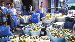 蜜梨黃桃產量翻倍讓農民睡不著覺？區委書記當起“店小二”解甜蜜煩惱