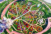 秋天好看的花少?上海這座公園卻用它們編出33米高城堡和1萬平方米地毯 秋天好看的花少?上海這座公園卻用它們編出33米高城堡和1萬平方米地毯