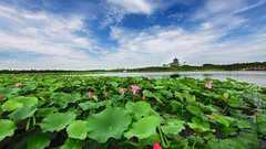 奉賢VS金山:南上海兄弟倆,誰的“姿勢”更具戰略眼光? 奉賢VS金山:南上海兄弟倆,誰的“姿勢”更具戰略眼光?