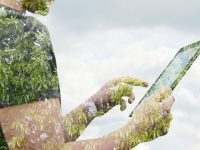 建別墅、高爾夫球場…7個自然保護區遭嚴重破壞侵占！生態環境部約談11名當地負責人