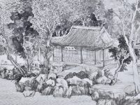 用寫生記錄生活，看松江畫家“對畫松江”