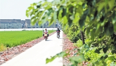 一舉兩得，嘉定這個村用拆違建筑垃圾拓寬了村級道路