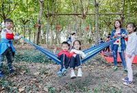 在上海黃浦江上游,出現一座“慢時光”鄉村文化營,帶來什么樣的體驗? 在上海黃浦江上游,出現一座“慢時光”鄉村文化營,帶來什么樣的體驗?