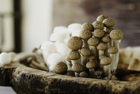 吃到就是扶貧買就是愛，那么上哪兒能買到上海對口地區農產品呢？攻略來了