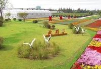 昔日違建重災區，而今變身為百畝花海！黃浦江畔一座都市＂農谷＂對外開放