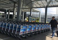 動線皆有引導，標識不問即明，虹橋機場進博保障要為“上海服務”長臉