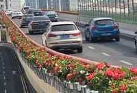 申字型高架等快速路景觀提升已全面完成，以靚麗身姿迎接進博會