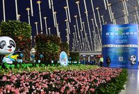 出租車站點配備翻譯機涵蓋34種語言，還開行進博會免費巴士，浦東機場這次蠻拼的！