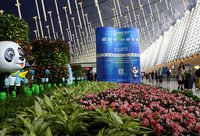 浦東機場國際和港澳臺航線，旅客不用再帶這張紙