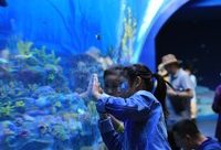 360度全息球幕影院,全球最大企鵝“超級碗”……帶你探秘上海海昌海洋公園 360度全息球幕影院,全球最大企鵝“超級碗”……帶你探秘上海海昌海洋公園