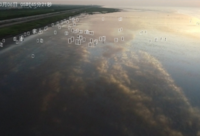 厲害了!上海臨港來了一名不知疲倦的“天空巡邏員” 厲害了!上海臨港來了一名不知疲倦的“天空巡邏員”