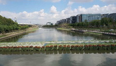 閔行區56項重點保障任務“沖刺”,讓進口博覽會場館周邊“靚”起來 閔行區56項重點保障任務“沖刺”,讓進口博覽會場館周邊“靚”起來