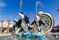 上海海昌海洋公園今日正式開園，5大主題區夠玩一整天，年內票價還有優惠