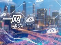 辦一件事不知要跑多少部門、準備什么材料？上海正全力做好這件事，給你一個滿意答案