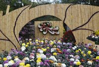 全國30座城市集中在上海“搶地盤”，只為明年這屆盛會