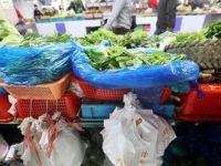 “限塑令”頒布十年，你堅持了嗎？