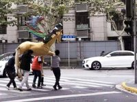 落葉季街頭藝術惹爭議，復興西路人造景觀“被維修”，人氣依然火爆……