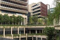 上海這座最西端的CBD渾身冒“綠”，白領們甚至還能在樓宇屋頂上種菜、養雞、養兔子