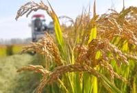 長三角這個省為何成老秀才？它的名優農產品第16次來上海