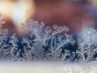 官宣!上海明天市區氣溫跌破“零點”,元旦假期首日累積雨雪量小到中等 官宣!上海明天市區氣溫跌破“零點”,元旦假期首日累積雨雪量小到中等