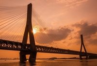 這些“中國橋霸”，在國博這個展上掀起欣賞熱潮