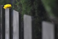 “冬至”掃墓怎么走？申城地鐵多線路提升保駕等級