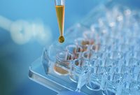 領跑中國CAR T行業!全國七個臨床批件中,這家上海中小企業獨占三元 領跑中國CAR T行業!全國七個臨床批件中,這家上海中小企業獨占三元