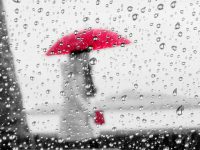 上海本月第二場雪要來了！今起5天至6天內，“低溫+陰雨”成常態