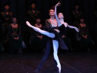 現場 | 挑戰41天26場演出,從上海飛出的48只“天鵝”驚艷了歐洲 現場 | 挑戰41天26場演出,從上海飛出的48只“天鵝”驚艷了歐洲