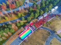 2019元旦上海人去哪迎接日出?東方明珠塔、上海中心、金茂大廈各出新招 2019元旦上海人去哪迎接日出?東方明珠塔、上海中心、金茂大廈各出新招