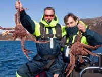 帝王蟹江湖很深,但海外貨源控制力差、百姓“被高消費”或將破局 帝王蟹江湖很深,但海外貨源控制力差、百姓“被高消費”或將破局