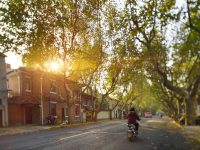 上海三條老馬路先后引發爭議，為何希望網友們的“吐槽”不要停？