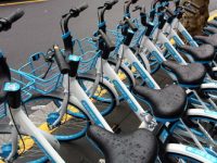 全新哈啰單車驚現上海市區,“禁投令”變一紙空文?系“轉運錯誤”? 全新哈啰單車驚現上海市區,“禁投令”變一紙空文?系“轉運錯誤”?