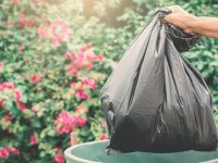 生活垃圾有害沒害怎么分？有害垃圾怎么處置？