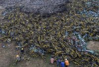 上海共享單車一年時間縮水一大半，“共享經濟”是偽命題嗎？