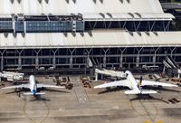 高峰已來！浦東國際機場首次實施公共辦票