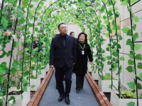 中以(上海)創新港全力推進建設,以色列相關負責人多次踏勘并愿意支持建設 中以(上海)創新港全力推進建設,以色列相關負責人多次踏勘并愿意支持建設