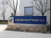 專利申請從3年縮短到3個月,“浦東速度”為民企創新護航 專利申請從3年縮短到3個月,“浦東速度”為民企創新護航