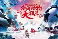 海洋動物大拜年啦,今年春節上海海昌海洋公園迎來最潮“海派”年 海洋動物大拜年啦,今年春節上海海昌海洋公園迎來最潮“海派”年