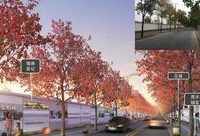 中以創新園加緊建設,桃浦地區環境品質整體提升 中以創新園加緊建設,桃浦地區環境品質整體提升