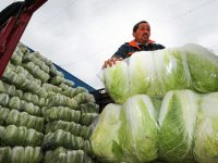 節后雨雪降溫，客菜保障上海市場供應充足