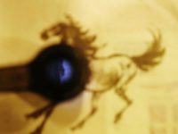 這個周末的晚上,上海博物館為100名觀眾開“小灶” 這個周末的晚上,上海博物館為100名觀眾開“小灶”