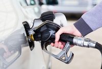 今后你的車，加的可能是你家剩菜做的油！上海一街道試點餐廚垃圾就地處置