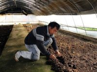 濕垃圾處理，小蚯蚓大顯身手