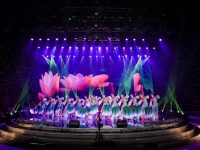 這個季節，寶山除了顧村櫻花，還有他們的精彩