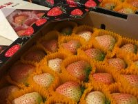 草莓村姑牽手草莓王子,上海這份甜蜜事業要搞出大動靜! 草莓村姑牽手草莓王子,上海這份甜蜜事業要搞出大動靜!