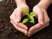 環保稅開征一年,那些曾經被稱為“污染大戶”的企業都怎樣了? 環保稅開征一年,那些曾經被稱為“污染大戶”的企業都怎樣了?