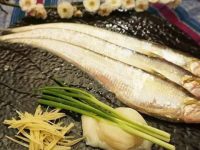 全面禁捕之后,刀魚為何還在市場上“橫行”? 全面禁捕之后,刀魚為何還在市場上“橫行”?